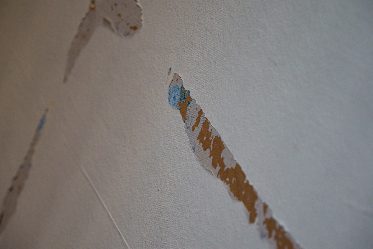 Storm Damage Repair service in Overland Park, KS